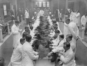 Eccentric Prints: Live silver fox show at Agricultural show. 14 November 1934