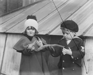 Girl Prints: Live toys at Derry and Toms 24 November 1920