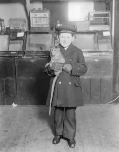 Animal Prints: Live toys at Derry and Toms A little sailor boy with his christmas present in advance