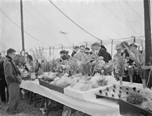 Stall Collection: The Longfield Flower Show, Kent. 1938