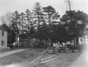 Timber Prints: A lumber team at work around Throwley Church in Kent. 1937