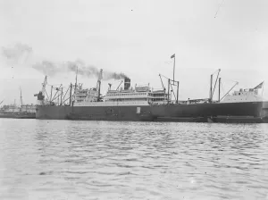Ships Prints: The US Mail Steamship Co, new mail steamer the Pan Handle State has arrived