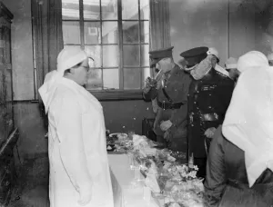 Apron Prints: Major M J Malling and Colonel Rje Oliver tasting fruits while at demonstration overlooking