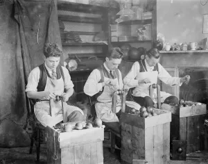 The making of cricket balls at London football company station road, South Norwood Stitching