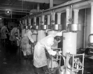 Factory Prints: Making Ice bricks at Cady Hall. A battery of freezers 1922