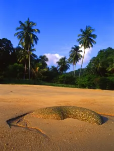 Malaysia. Penang