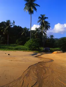 Paradise Prints: Malaysia. Penang