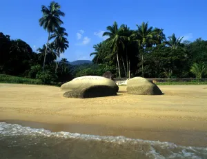 Paradise Prints: Malaysia Penang Beach