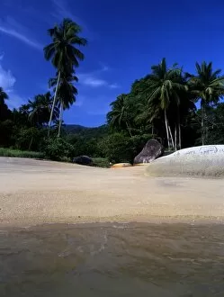 Paradise Collection: Malaysia Penang Ferringhi Beach