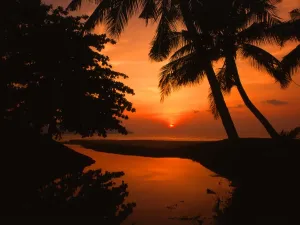 Paradise Prints: Malaysia Penang at sunset