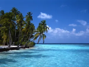 Natural Beauty Prints: Maldives Little Bandos
