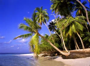Maldives Little Bandos