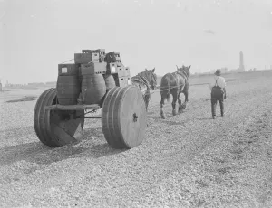 Heavy Horse Prints: A man with his horse team pulling barrels across the shingle at Dungeness in Kent