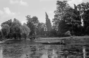 Leisure Prints: A man in his long boat rowing along the Boating Pool, Mill Garden, River Leam