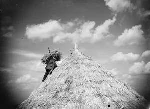 Grass Prints: Man making a haystack. 1935