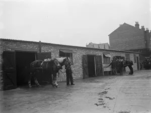Stall Collection: A man walks a horse out of the stables. 1936
