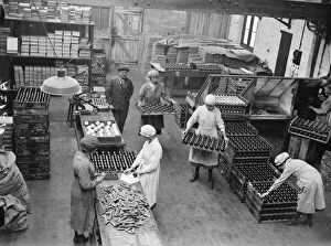 Workers Collection: Manufacture of cork balls at Chingford General view of the house 28 November 1922