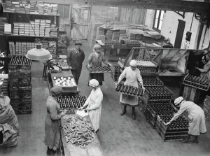 Adult Prints: Manufacture of cork balls at Chingford General view of the house 28 November 1922