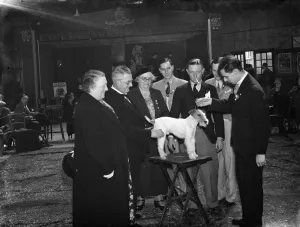 Winner Prints: The Mayor and Mayoress of Woolwich at the Peoples Dispensary for Sick Animals (