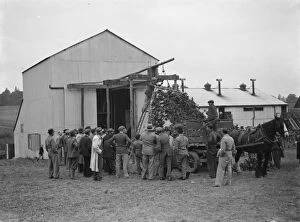 Plant Collection: McConnel hinds, hop picking machine. 1937