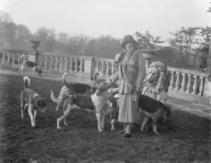 Meet of the Hertfordshire Hunt at Brocket Hall. Lady Nall Cain with the hounds