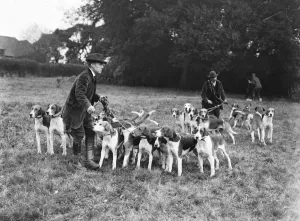 Meet of the New Forest staghounds at Fountain Court, Brook. Forestmen with