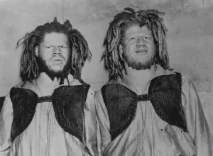 Indigenous Prints: Men with sheeps heads. These remarkable individuals, who have sheeps wool in place of hair