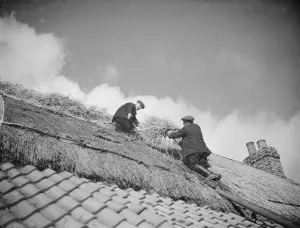 Men work on a tiled roof putting thatching on the roof of a cottage in Orpington