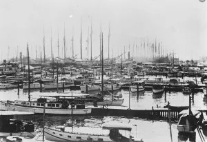 Miami harbour, which has been destroyed by a hurricane. 22 September 1926