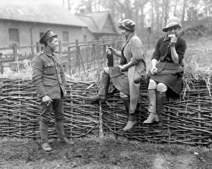 Fence Collection: Milkmaids being trained under the National Service Scheme at Epping Forest