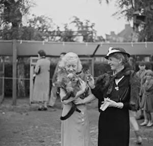 Pets Collection: Miss Australs with monkeys. 1936