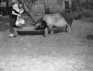 Miss Edna Maude the seventeen year old dancer on holiday at Bridgewater 25 June 1923