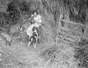 Miss Edna Maude, the seventeen year old dancer on holiday with her dogs. 1920s