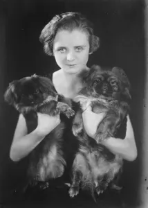 Young Woman Prints: Miss Ena Grossmith, daughter of George Grossmith. 15 October 1927