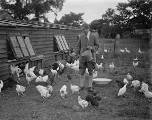 Farmer Collection: Miss Foster winner of Kings prize at Bisley at home of her chicken farm. 21 July 1930