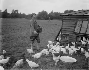 Miss Foster winner of Kings prize at Bisley at home of her chicken farm. 21 July 1930