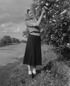 Scarf Prints: Miss Muriel Haken admiring some wild roses in Sussex. 13 June 1937
