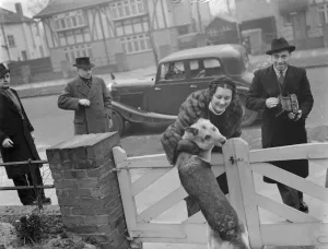 Miss Muriel Oxford is welcomed to the gate by an excitable dog. 1937