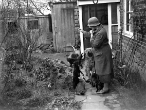 Miss Nancy Rutherford outside the house with her cats and dogs. 1934