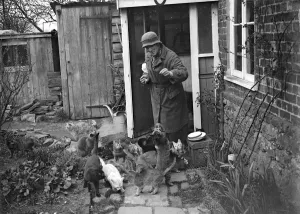 Miss Nancy Rutherford outside the house feeding her 15+ cats. 1934