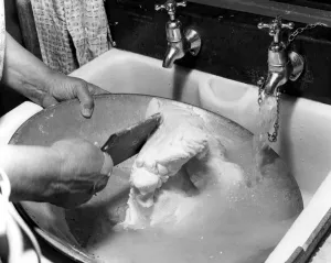 Homemade Prints: Miss Peggy Macleod washing out the bowl after making butter by hand in Daliburgh
