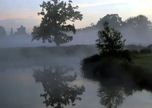 Atmosphere Prints: Mist in the English countryside