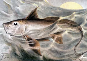 MONSTERS. The Chimaaera. Chromolitho by Smit. From the 1896 edition of P L Scalter's MONSTERS. The Chimaaera. Chromolitho by Smit. From the 1896 edition of P L Scalter's