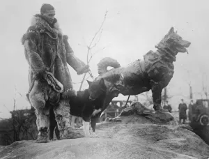 Hero Prints: Monument to a dog. A monument was unveiled in Central Park, New York, to Balto
