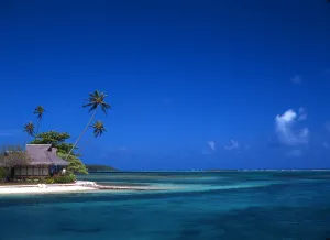 Paradise Prints: Morea Tahiti