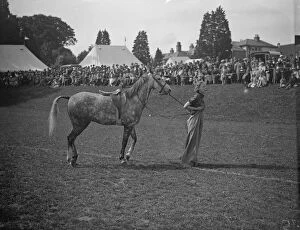 Press Photography Collection: Mounted sack race in Haywards Heath Gymkhana. Musical chairs, balloon bursting