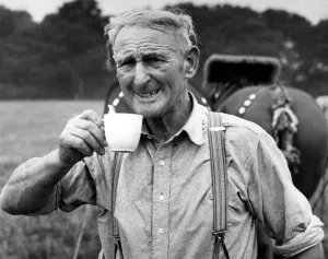 Smiling Prints: Mr A. W. (Jack) Pearce of Lymington, Hampshire is out to beat the world horse ploughing