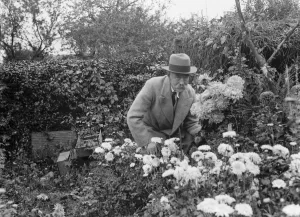 Garden Prints: Mr Baxter in his garden in Sidcup, Kent. 1935