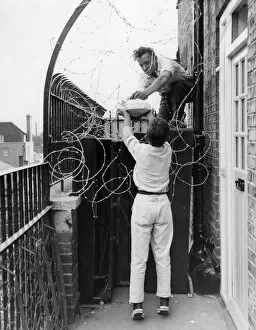 Fence Collection: Mr. Donald Cook, Secretary of the St. Pancras United Tenants Association, takes some