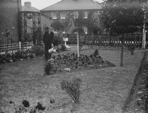 Garden Prints: Mr F W Sims stands over his prize garden in Horton Kirby. 1938
